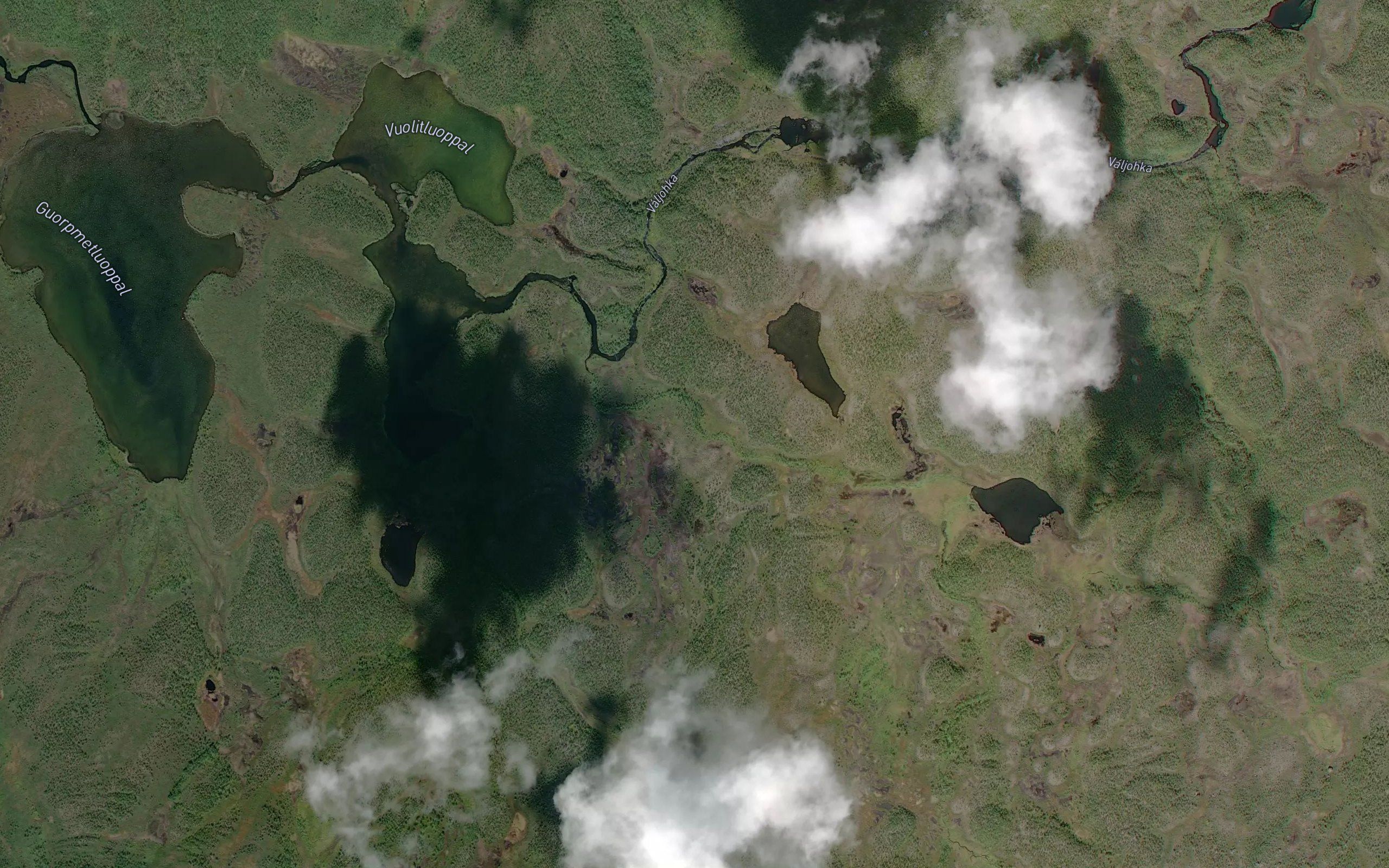 Duolbajakka