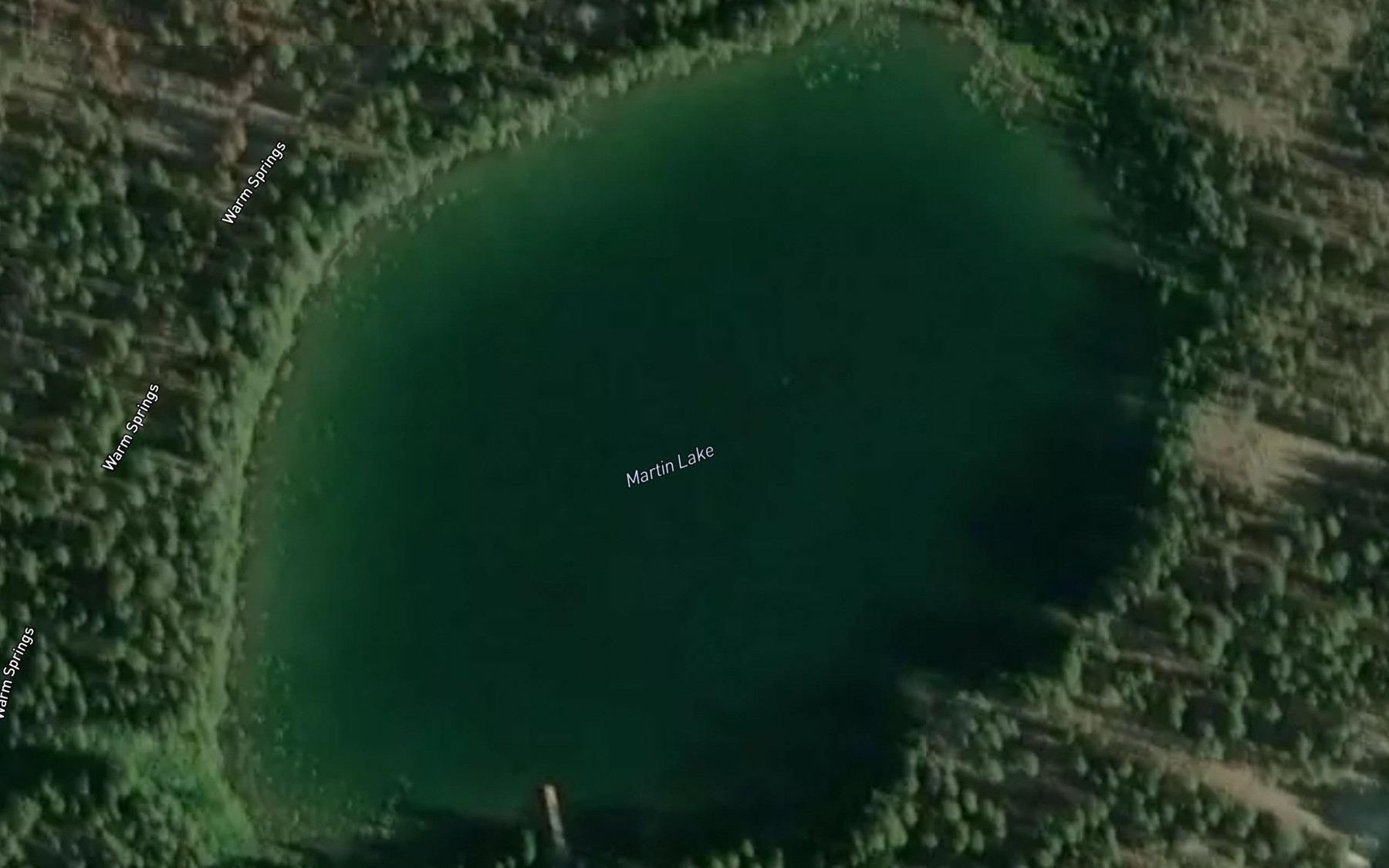 Satellite map of the Martin Lake