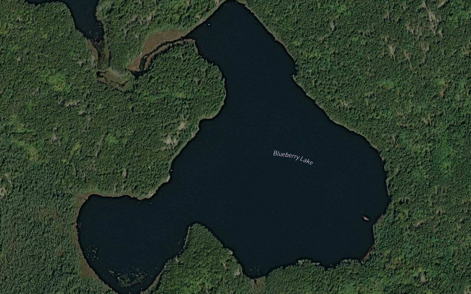 Satellite map of the Blueberry Lake