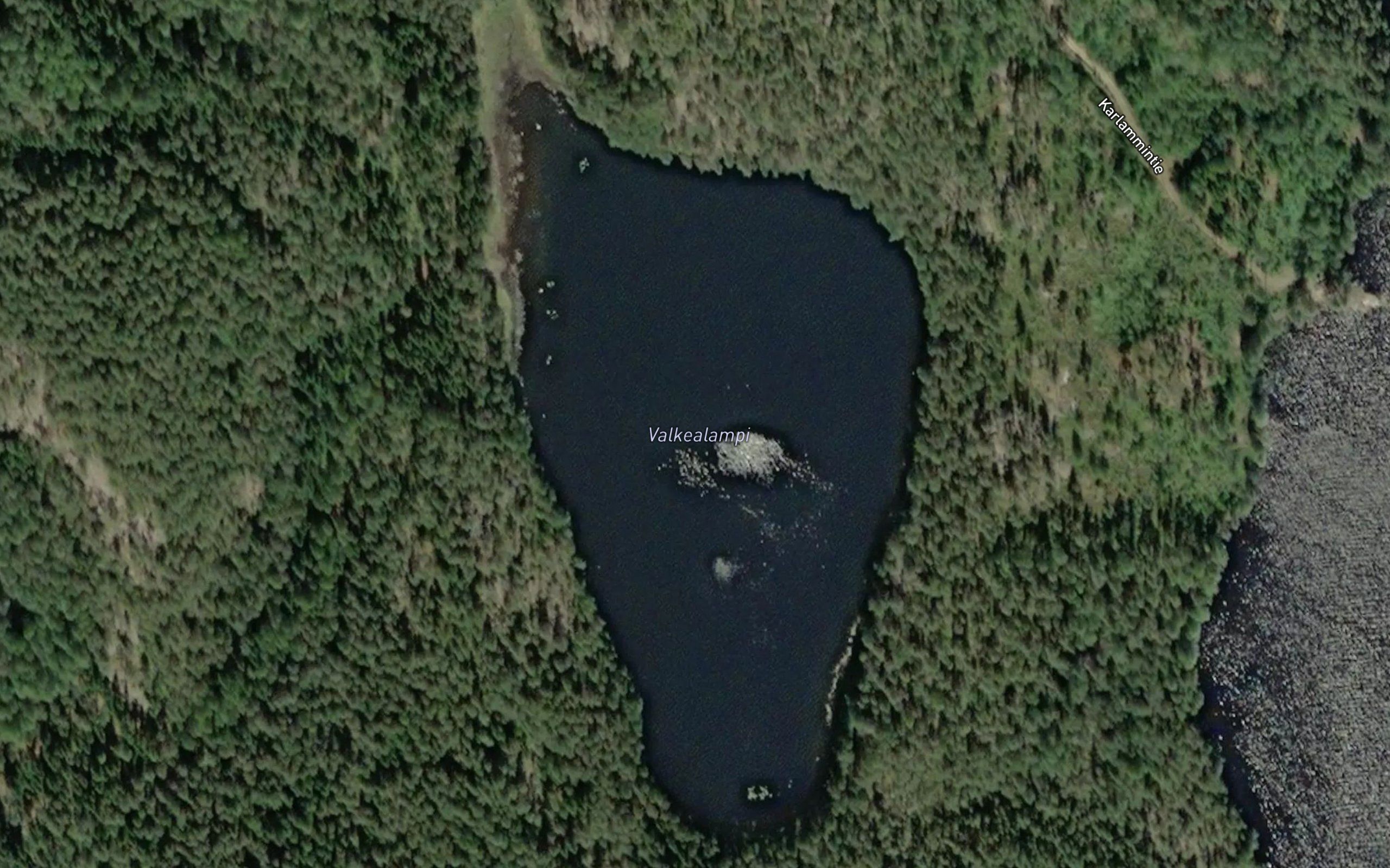 Valkealampi