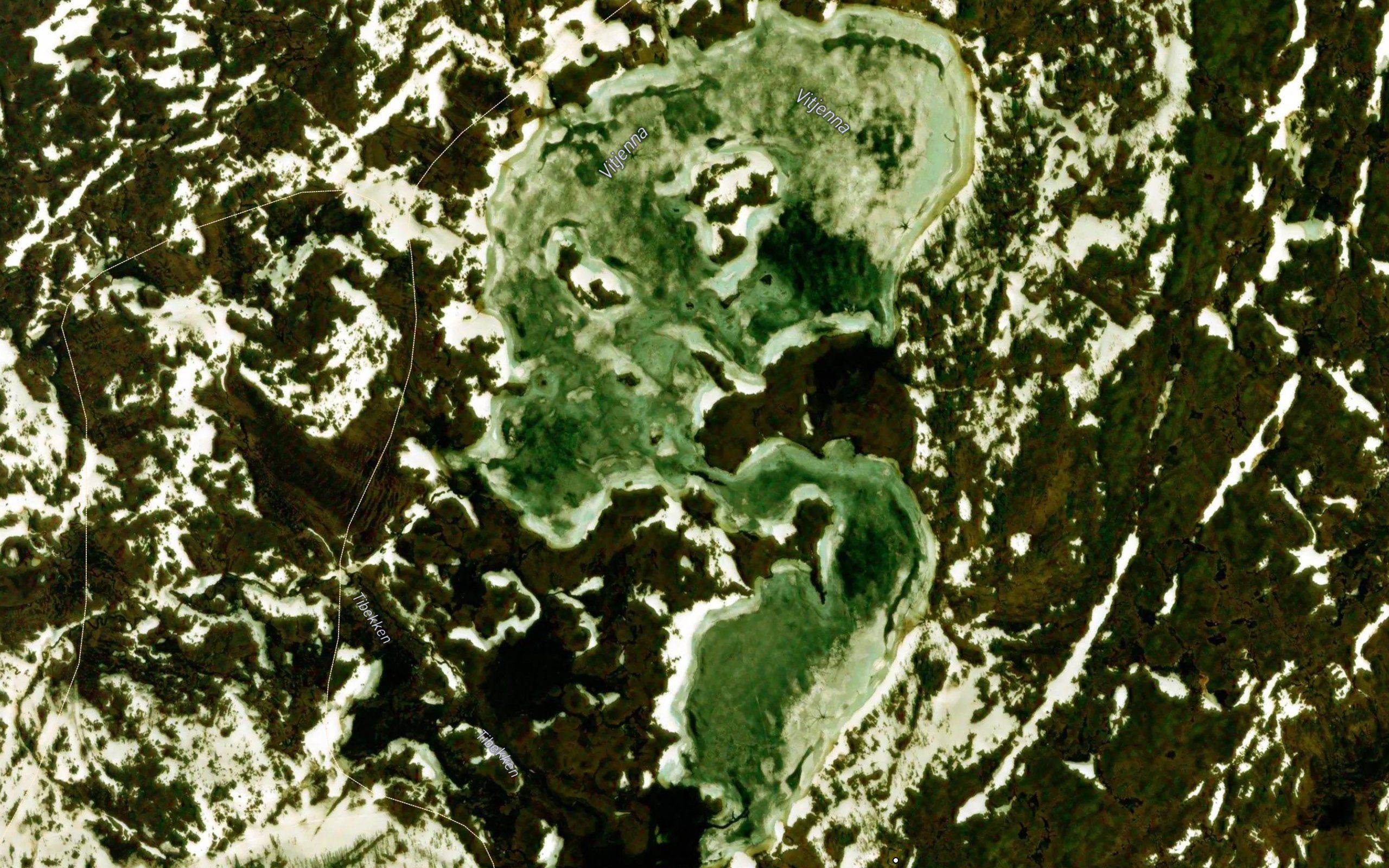 Vitjerna