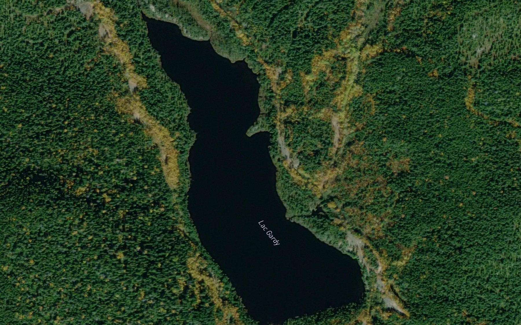 Satellite map of the Lac Gardy