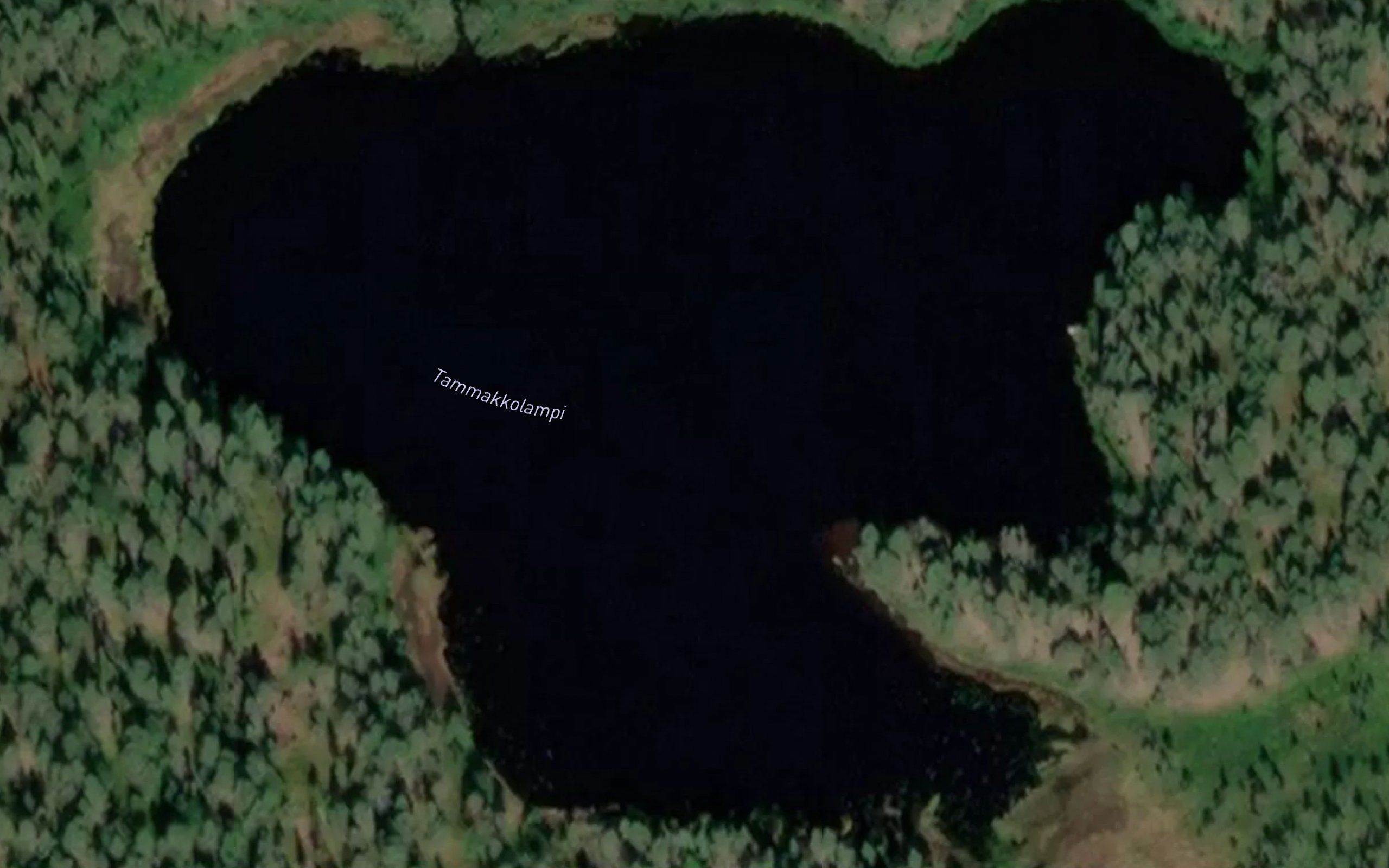 Tammakkolampi