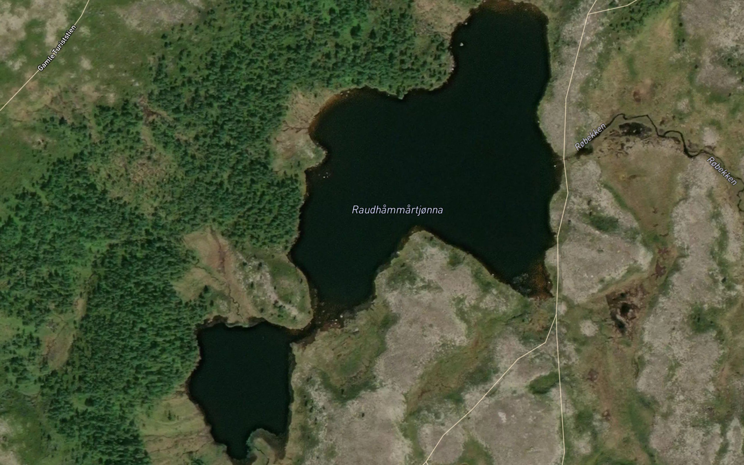 Rauhammartjorna