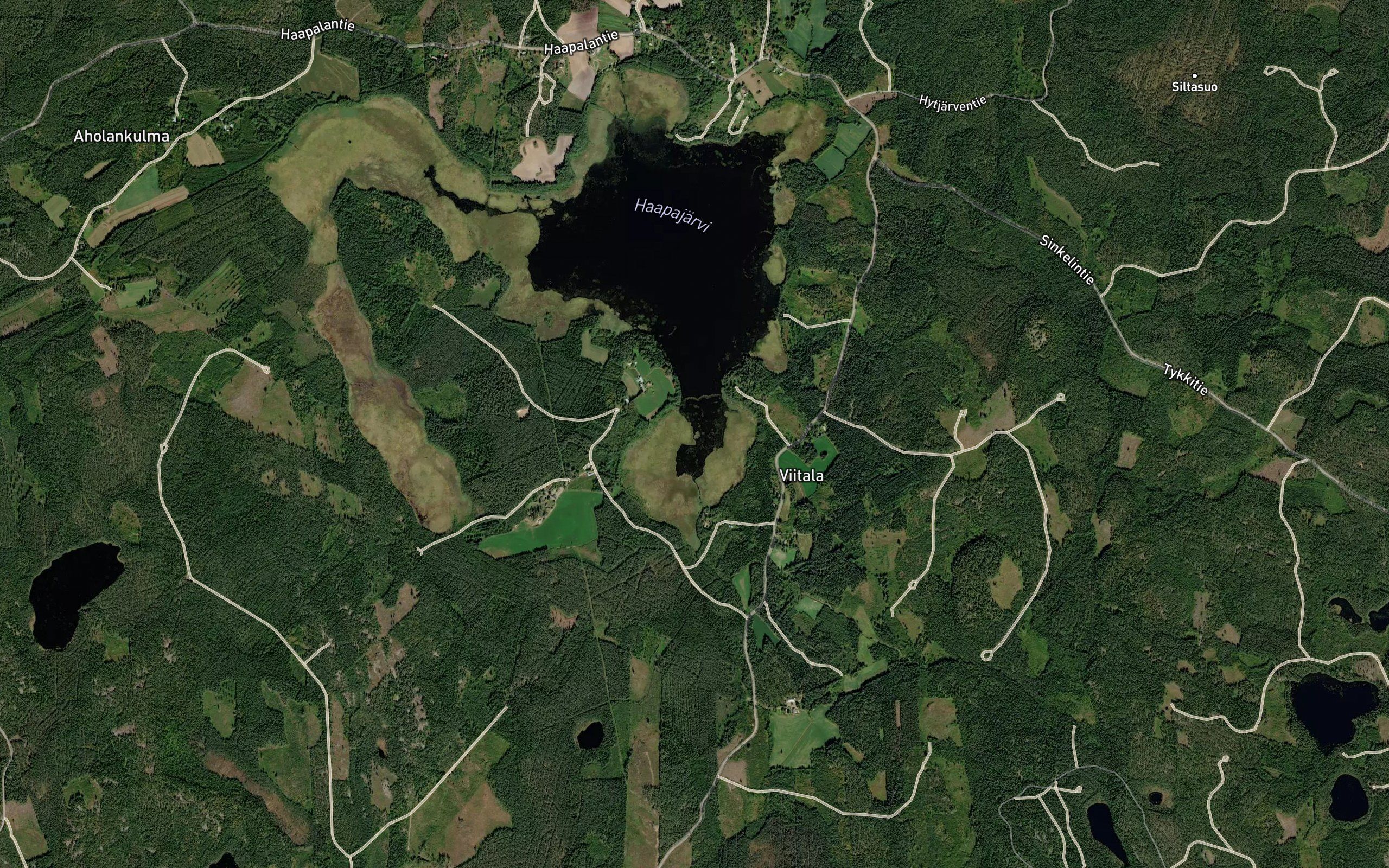 Viitalanlahti