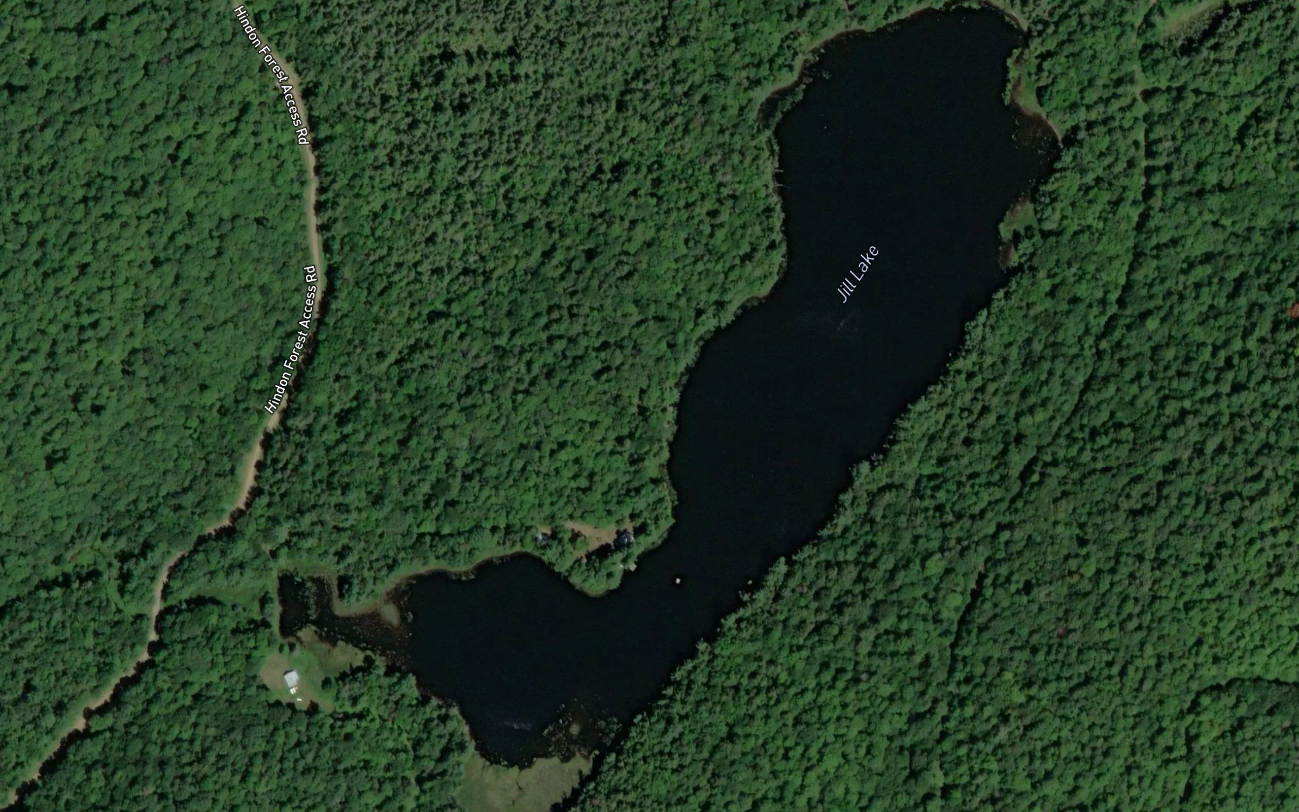 Jill Lake