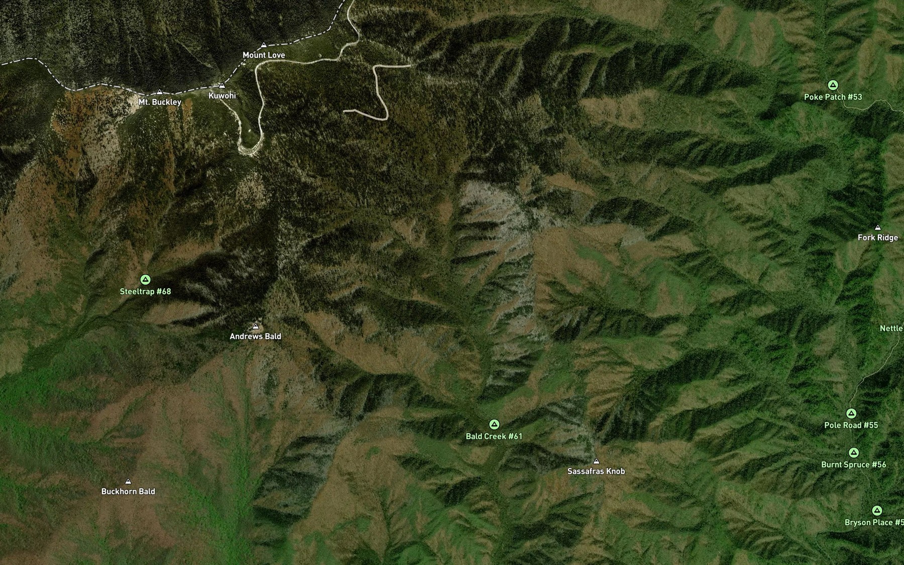 Satellite map of the Salola Branch