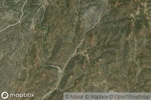 Canada Las Codornices