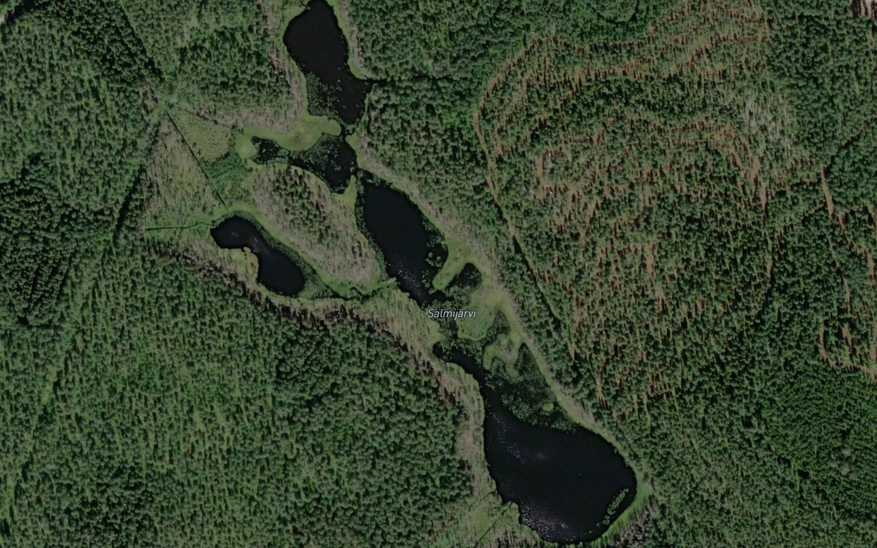 Satellite map of the Salmijarvi