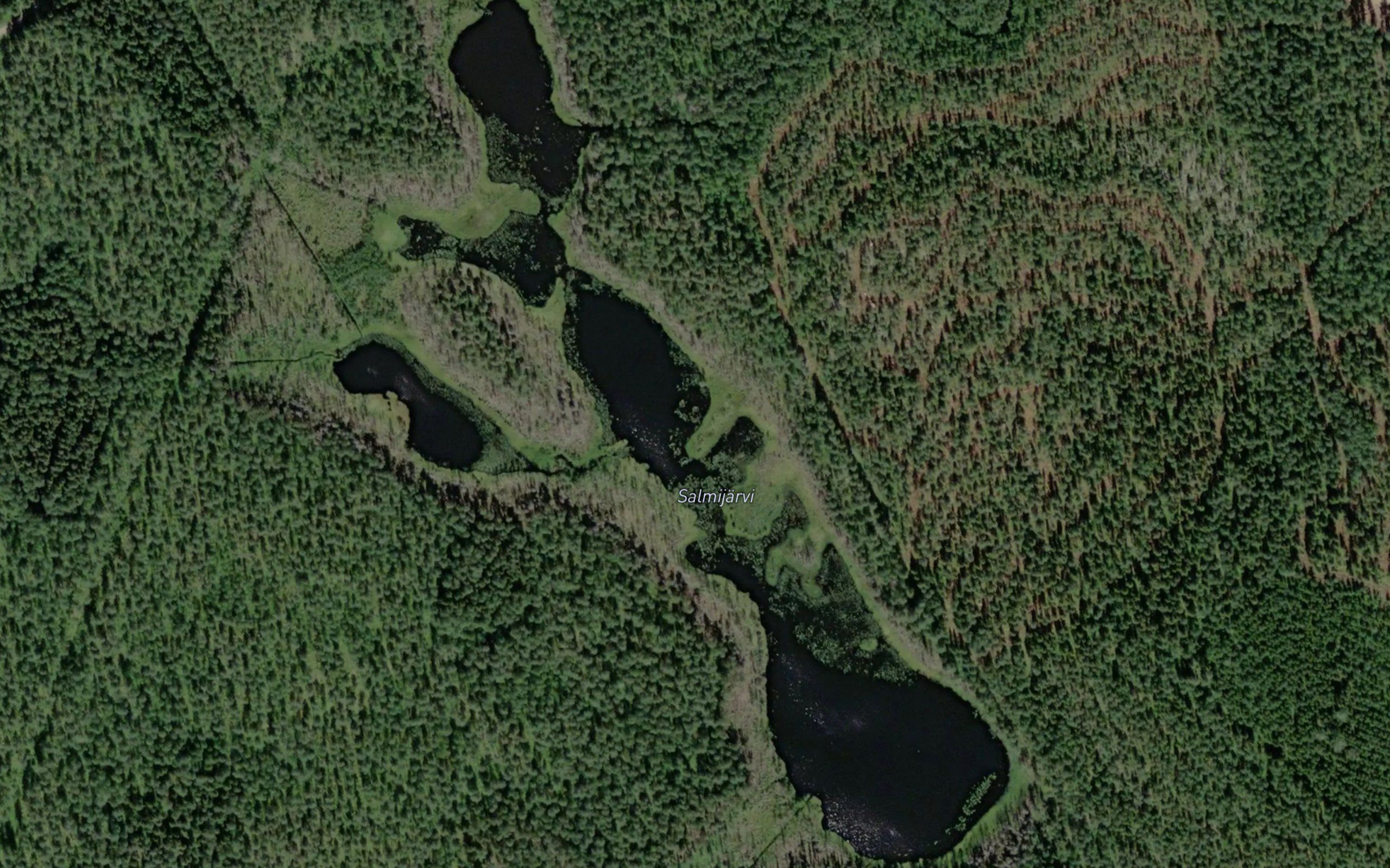 Salmijarvi