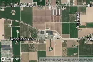 Lateral Number Three