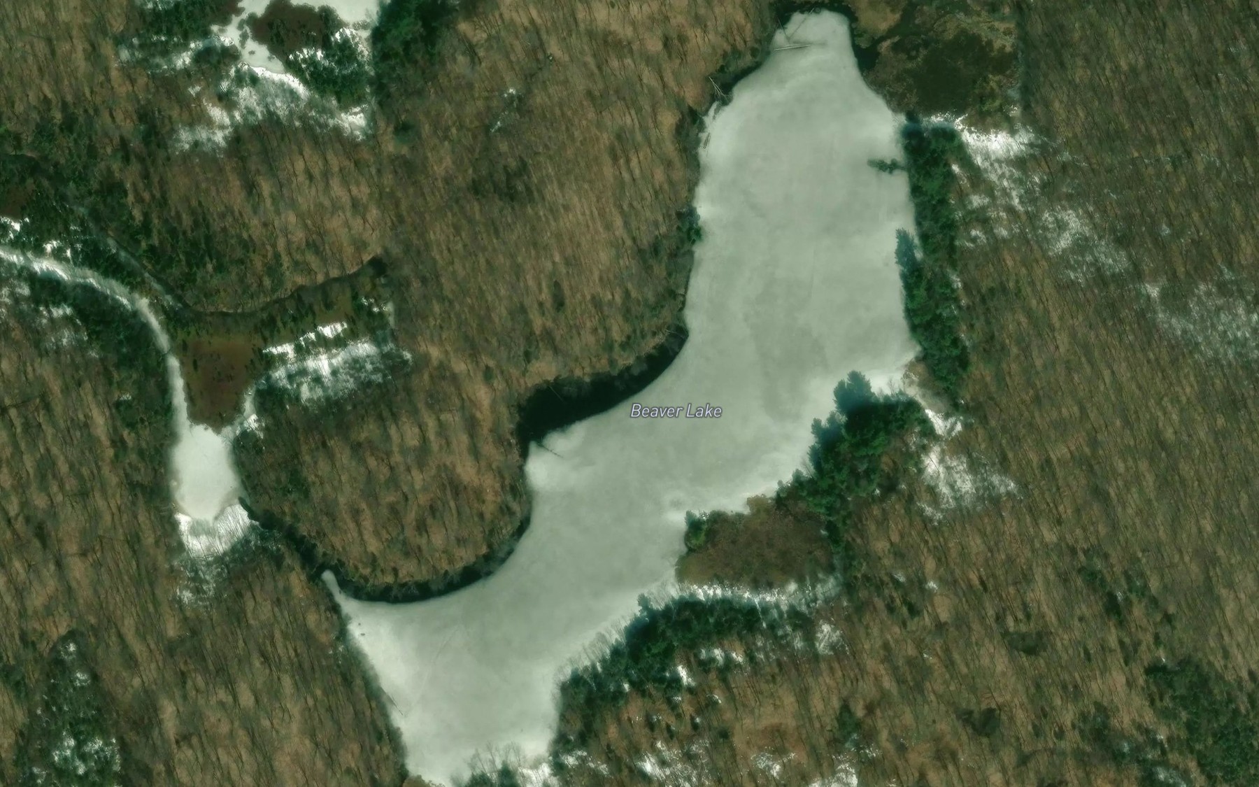 Satellite map of the Beaver Lake