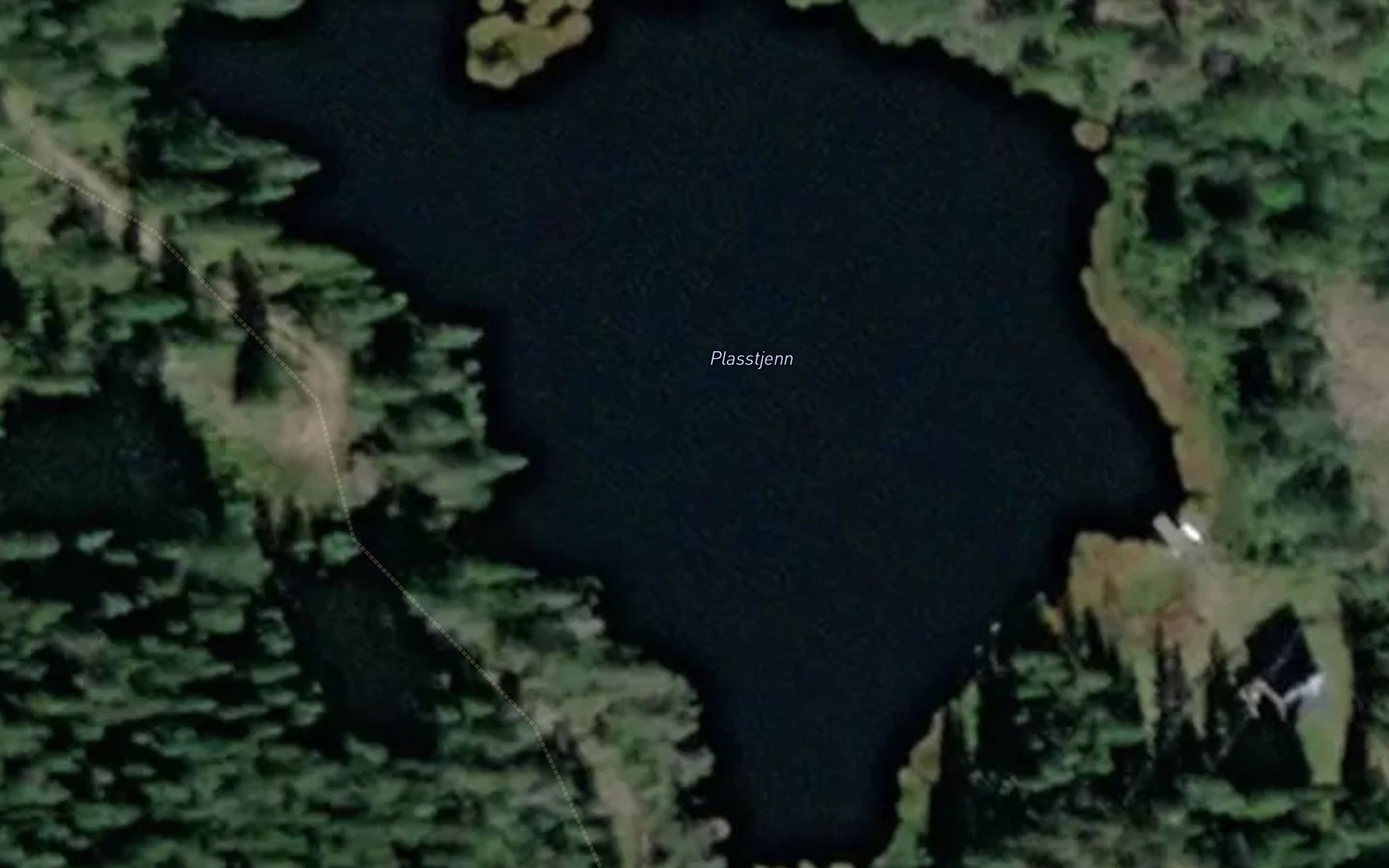 Plasstjerna