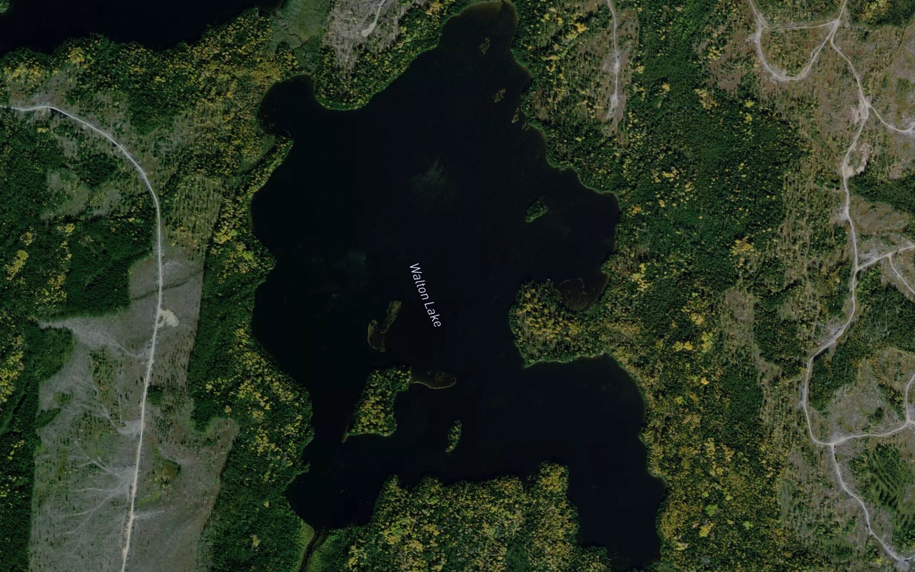 Satellite map of the Walton Lake