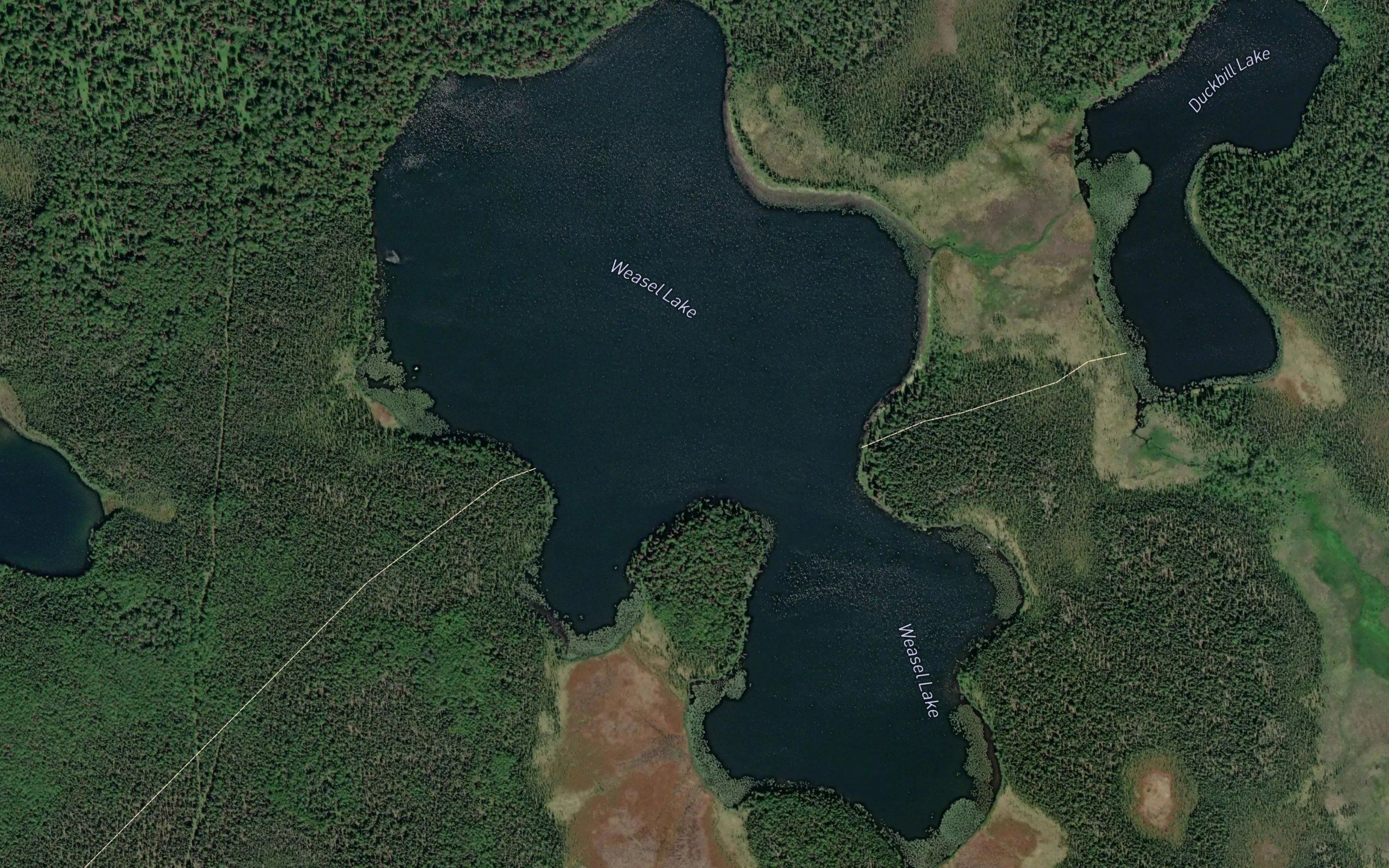 Weasel Lake