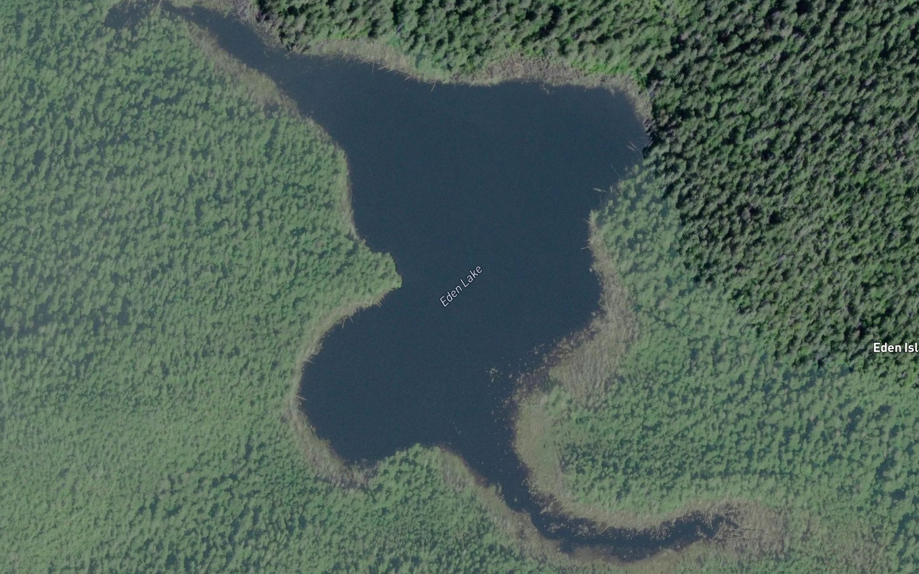 Satellite map of the Eden Lake