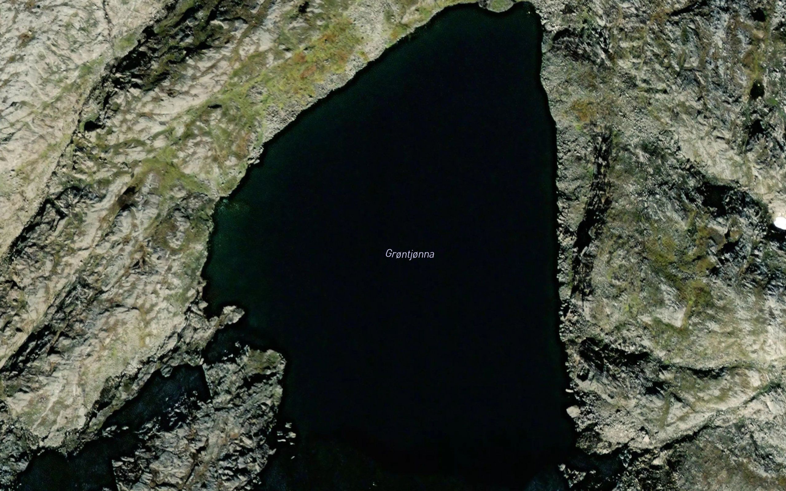 Grontjorna