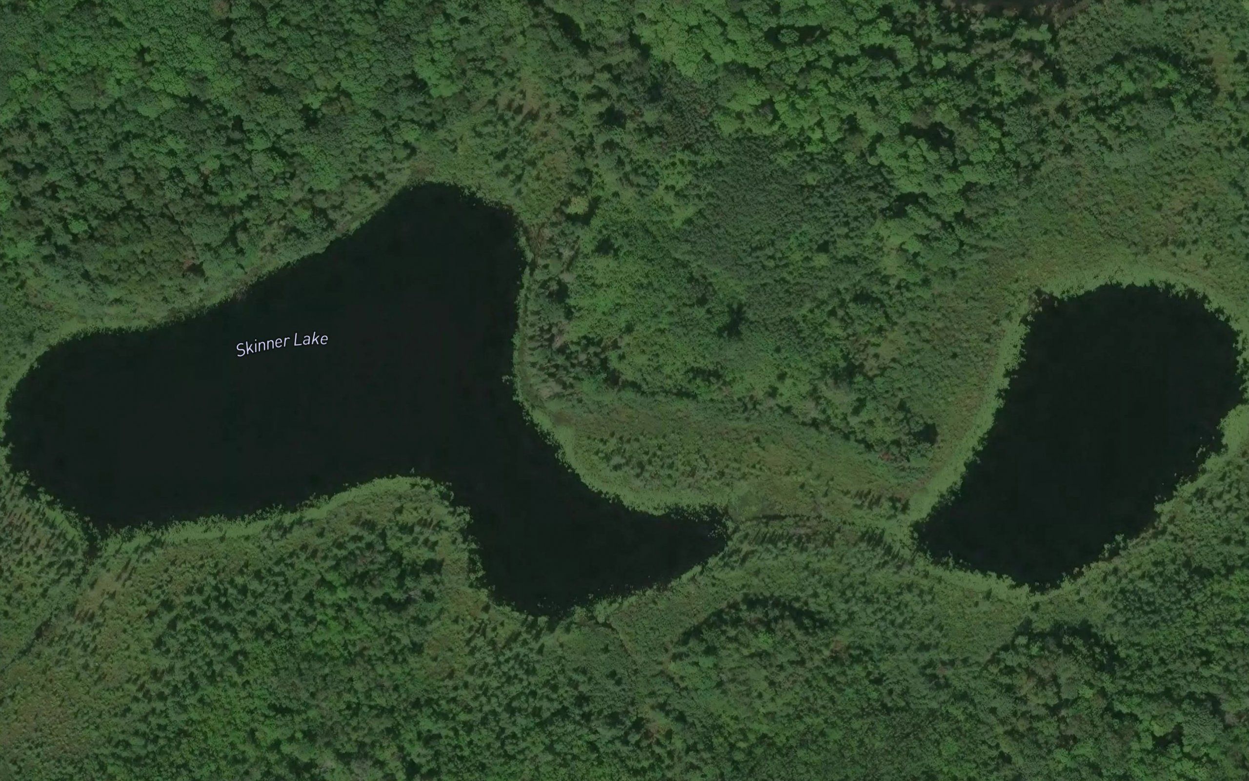 Skinner Lake