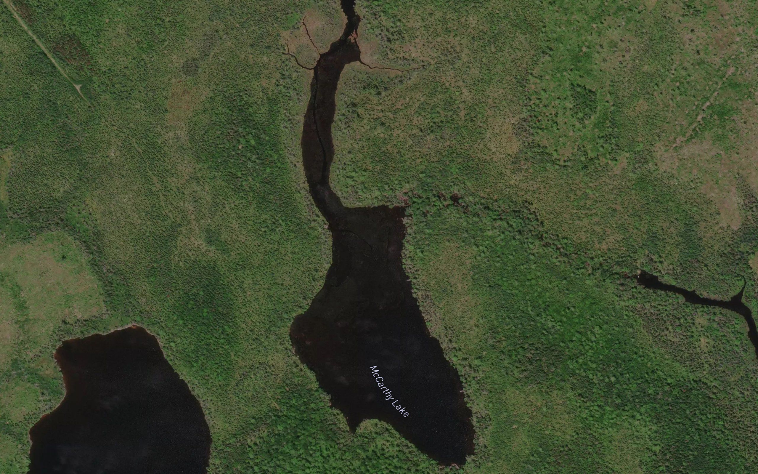 McCarthy Lake
