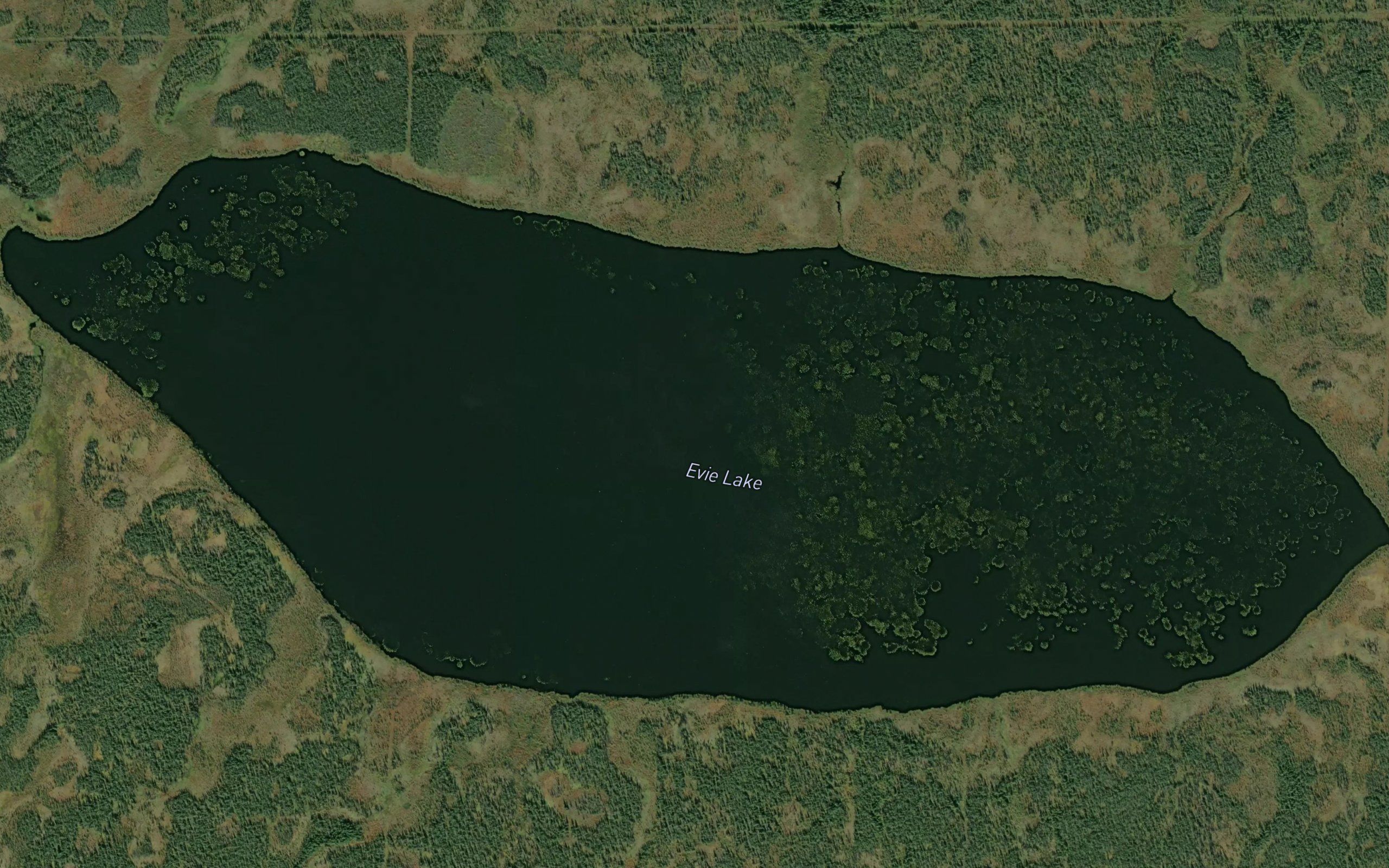 Evie Lake