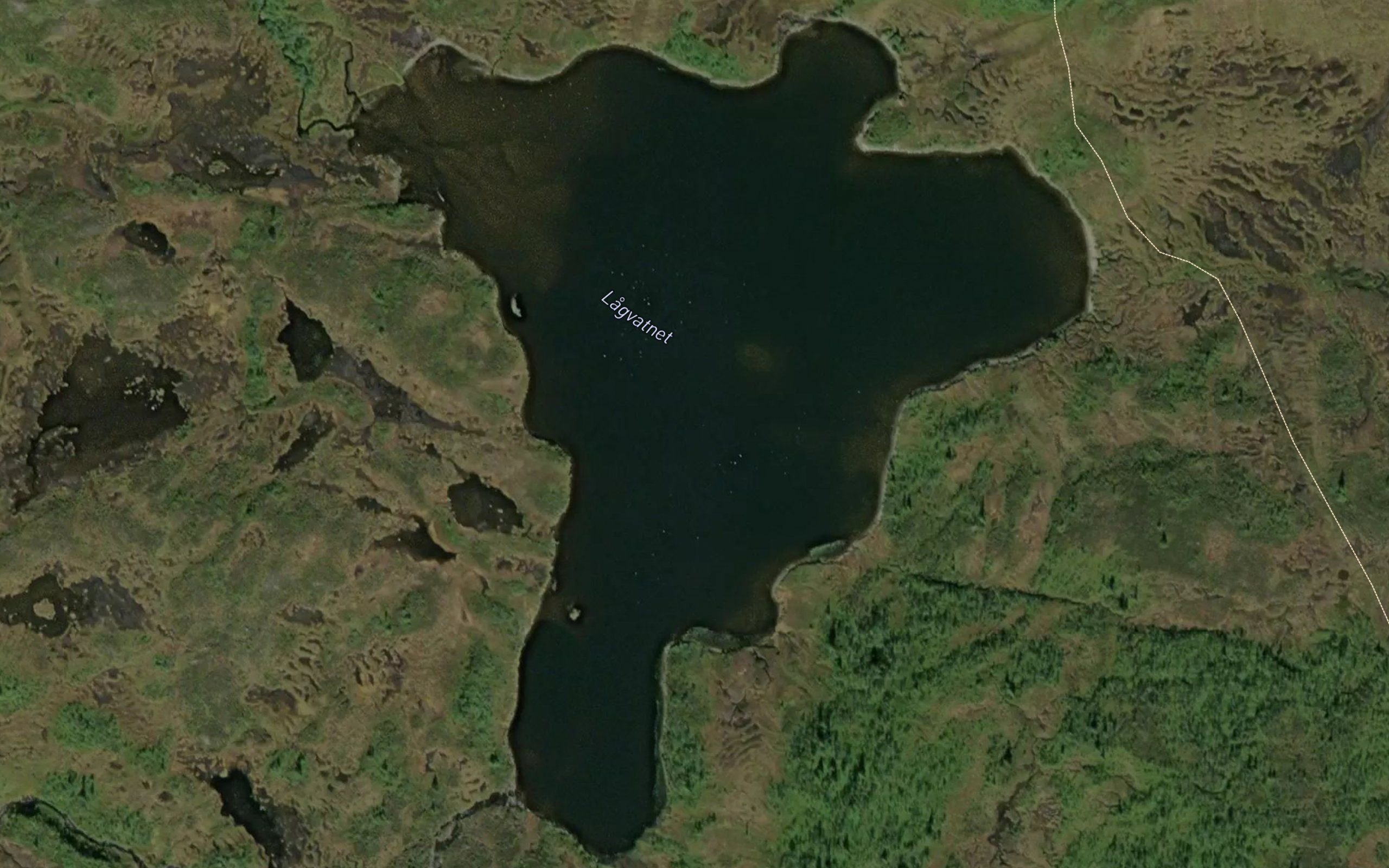 Lagvatnet