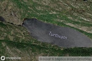 Turtlivatn