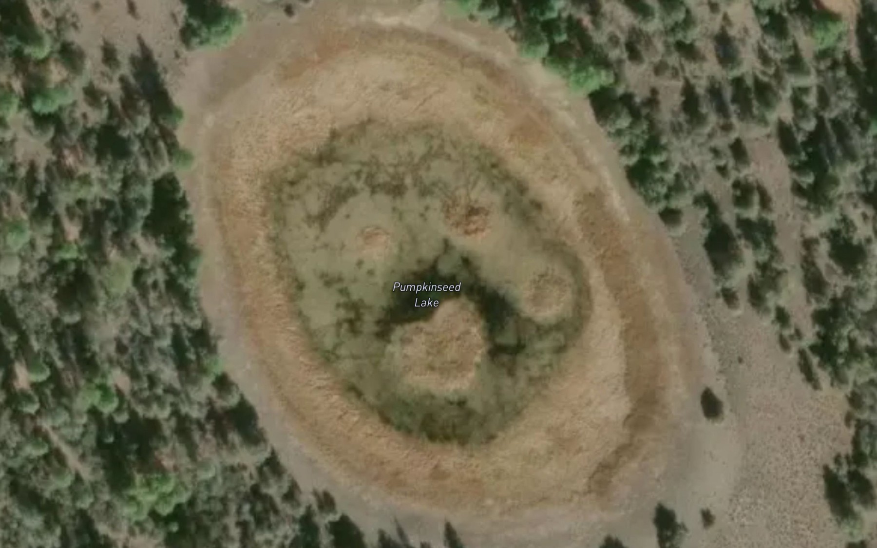 Satellite map of the Pumpkinseed Lake
