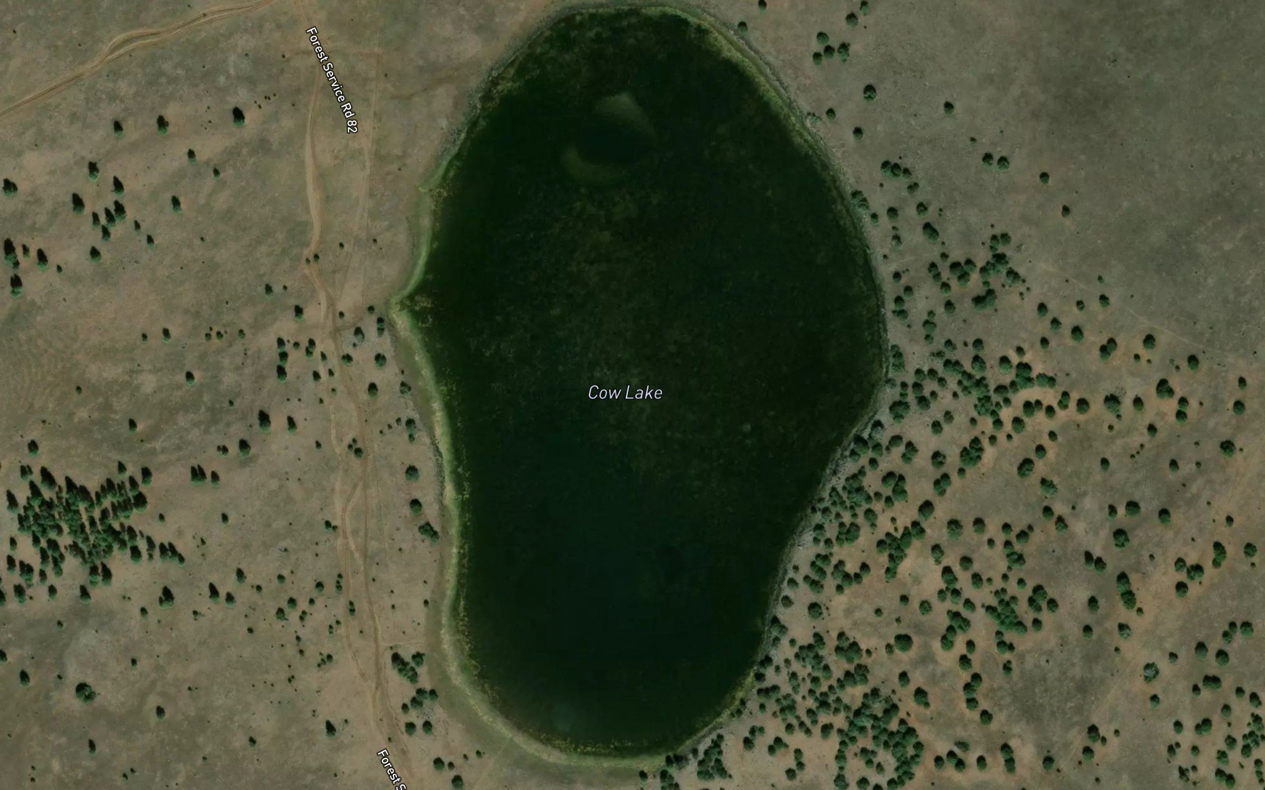 Cow Lake