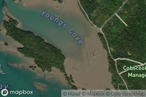 Youngs Cove