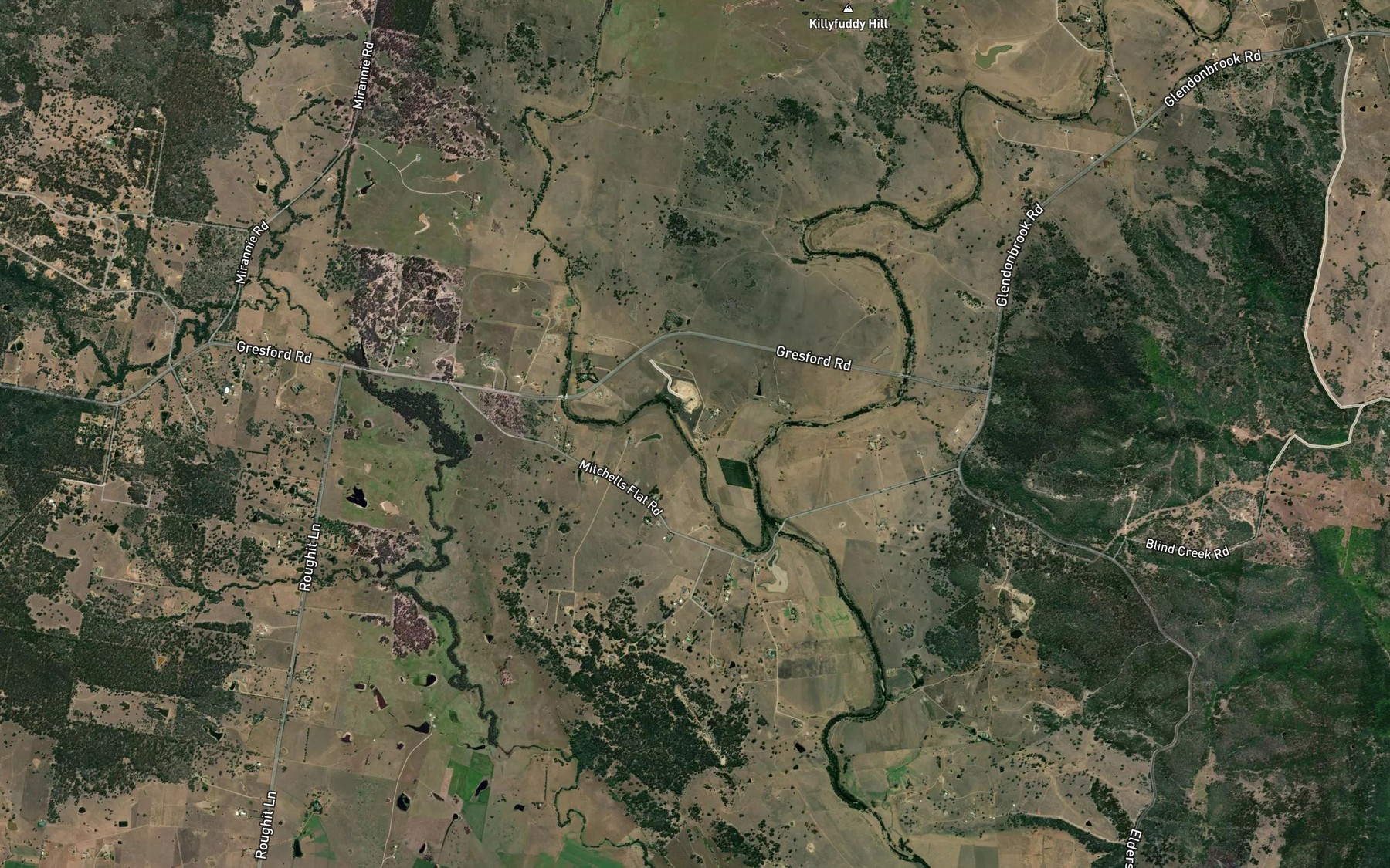 Satellite map of the Reedy Creek