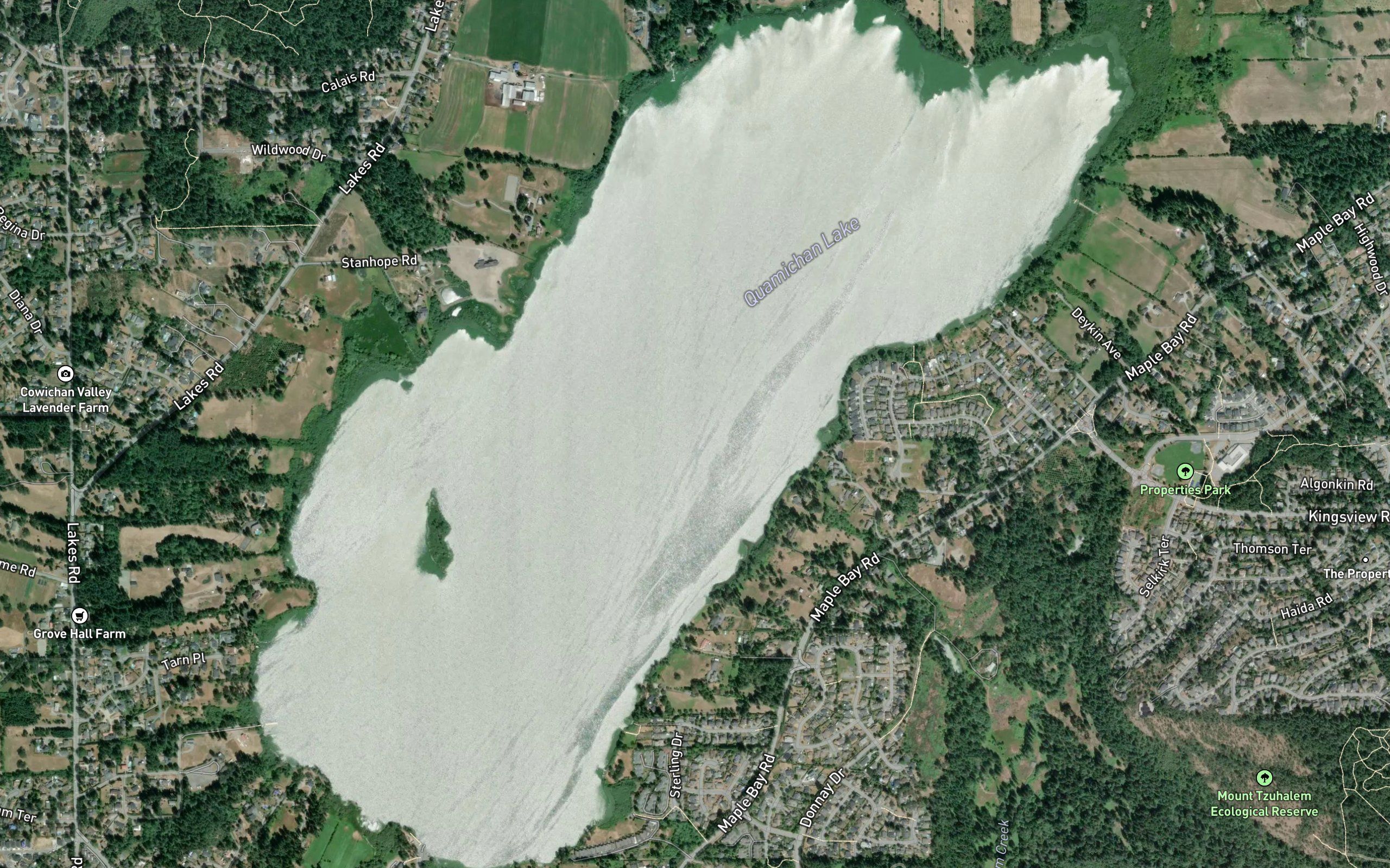 Quamichan Lake