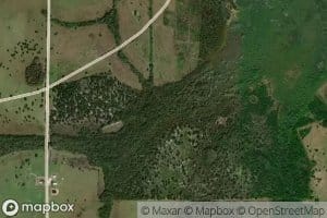 Beef Camp Branch
