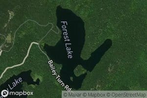 Forest Lake