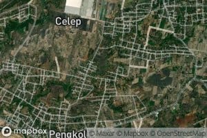 Kali Celep