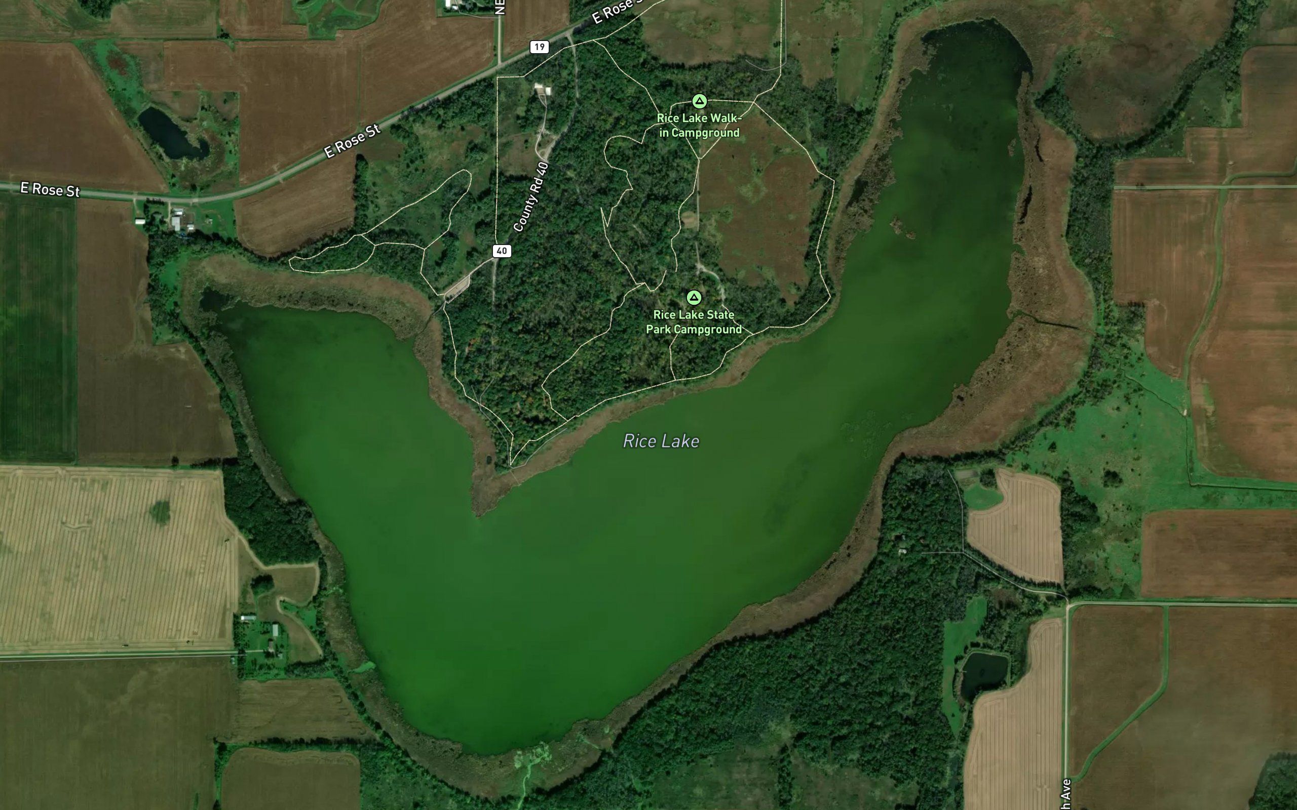 Rice Lake