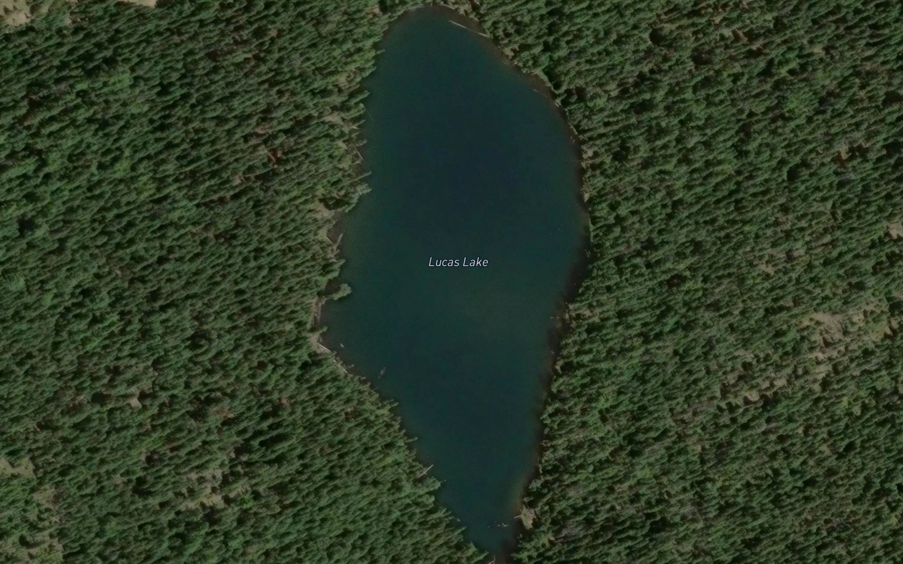 Satellite map of the Lucas Lake