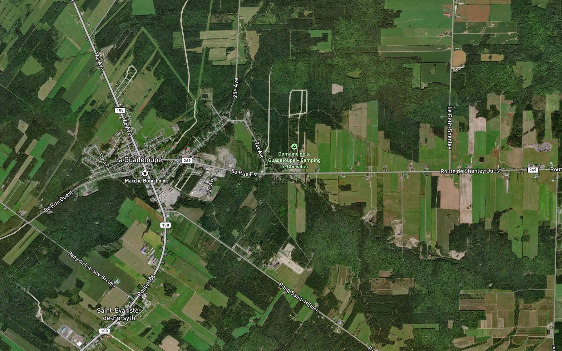 Satellite map of the Decharge du Dix