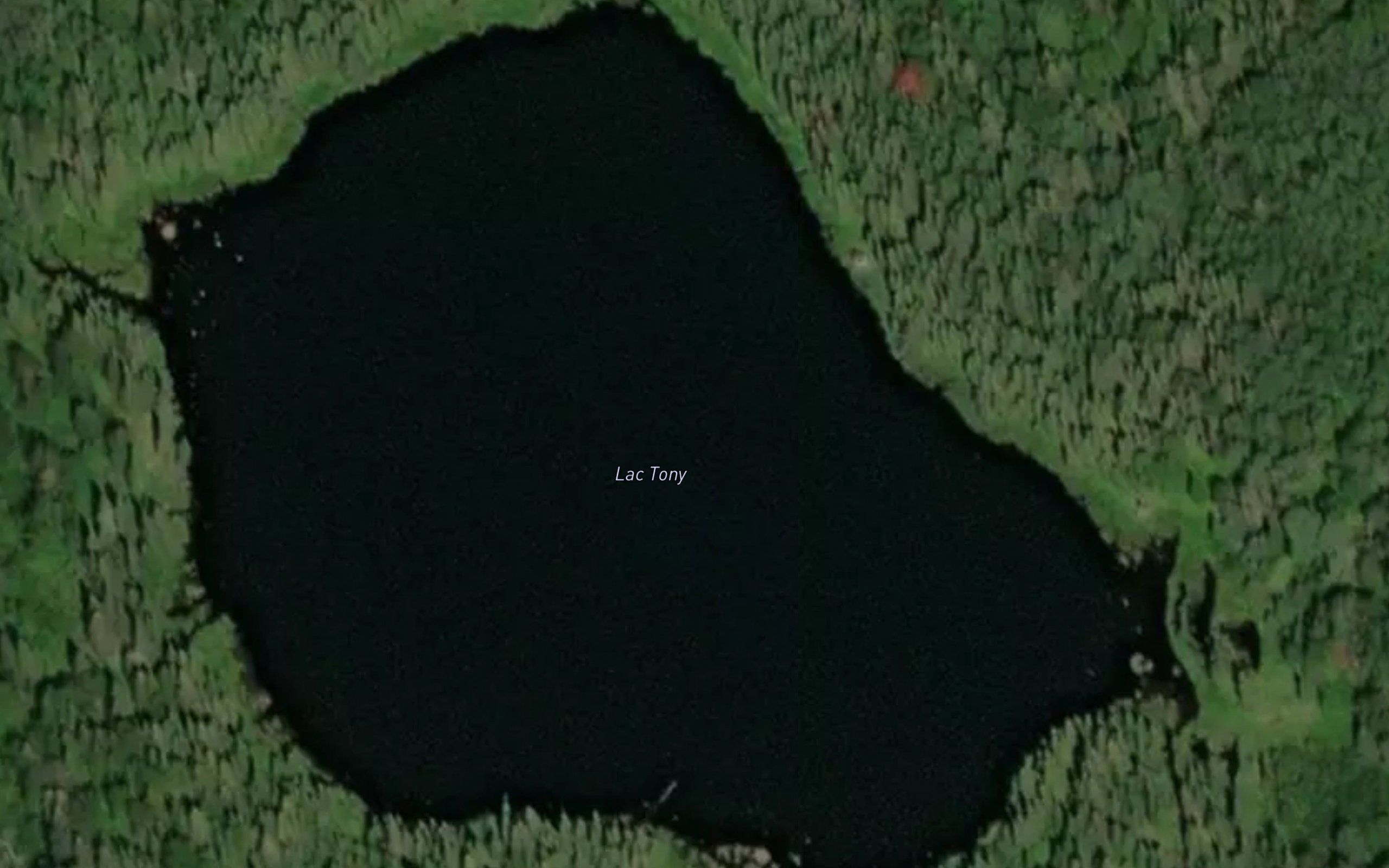 Lac Tony