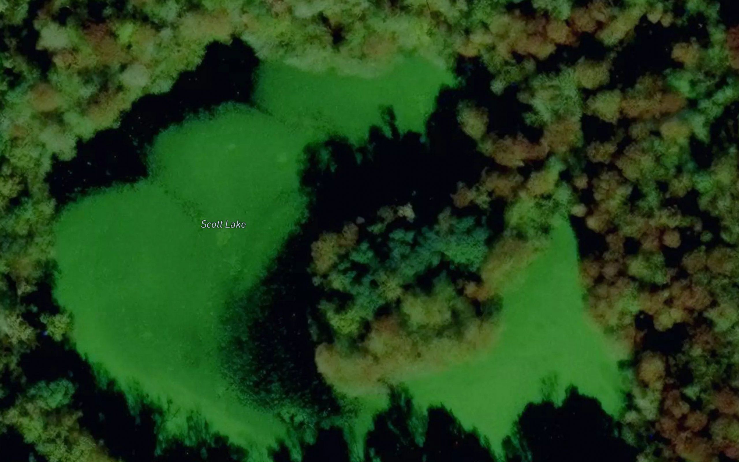 Scott Lake