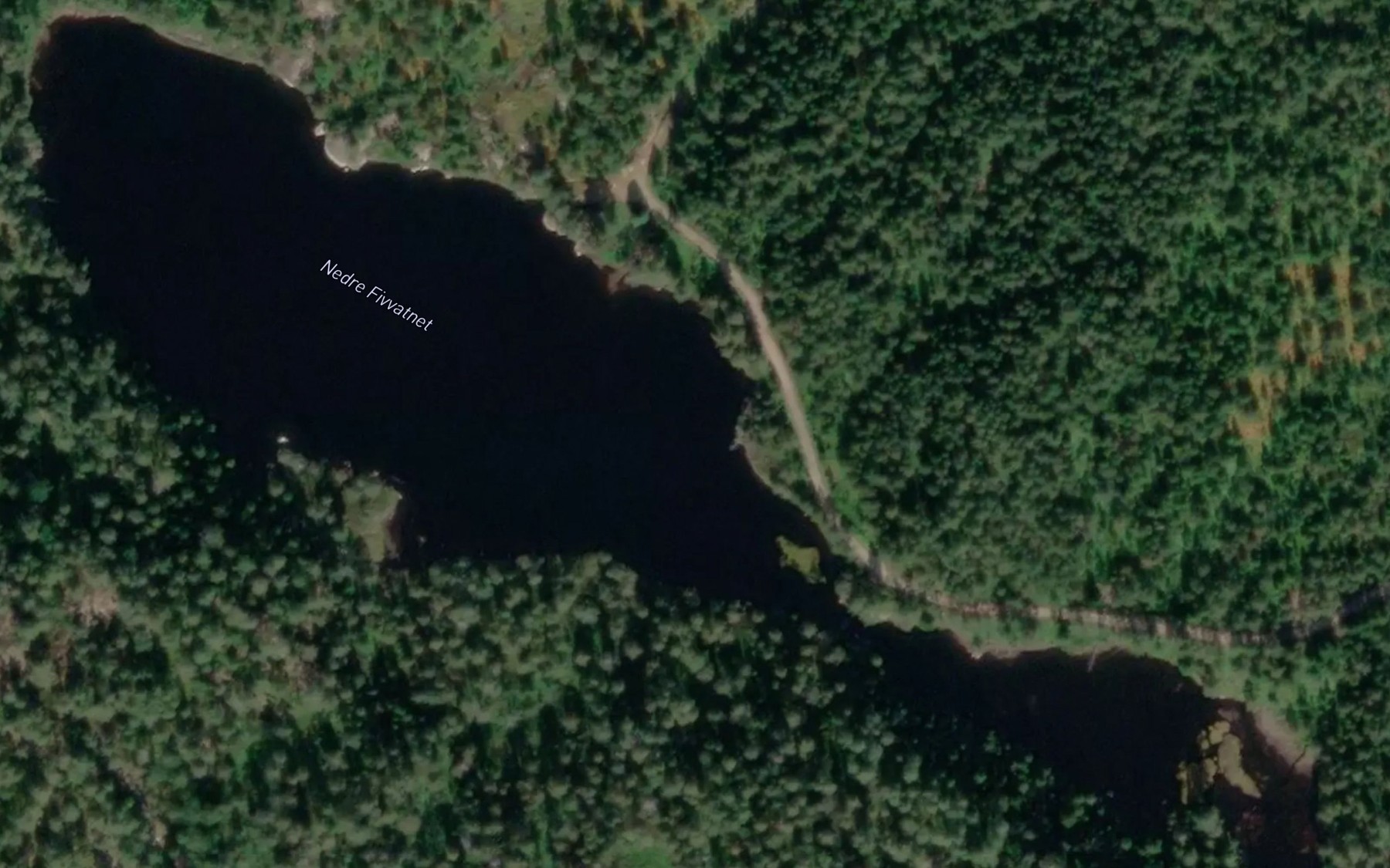 Satellite map of the Fivvatnet,nedre