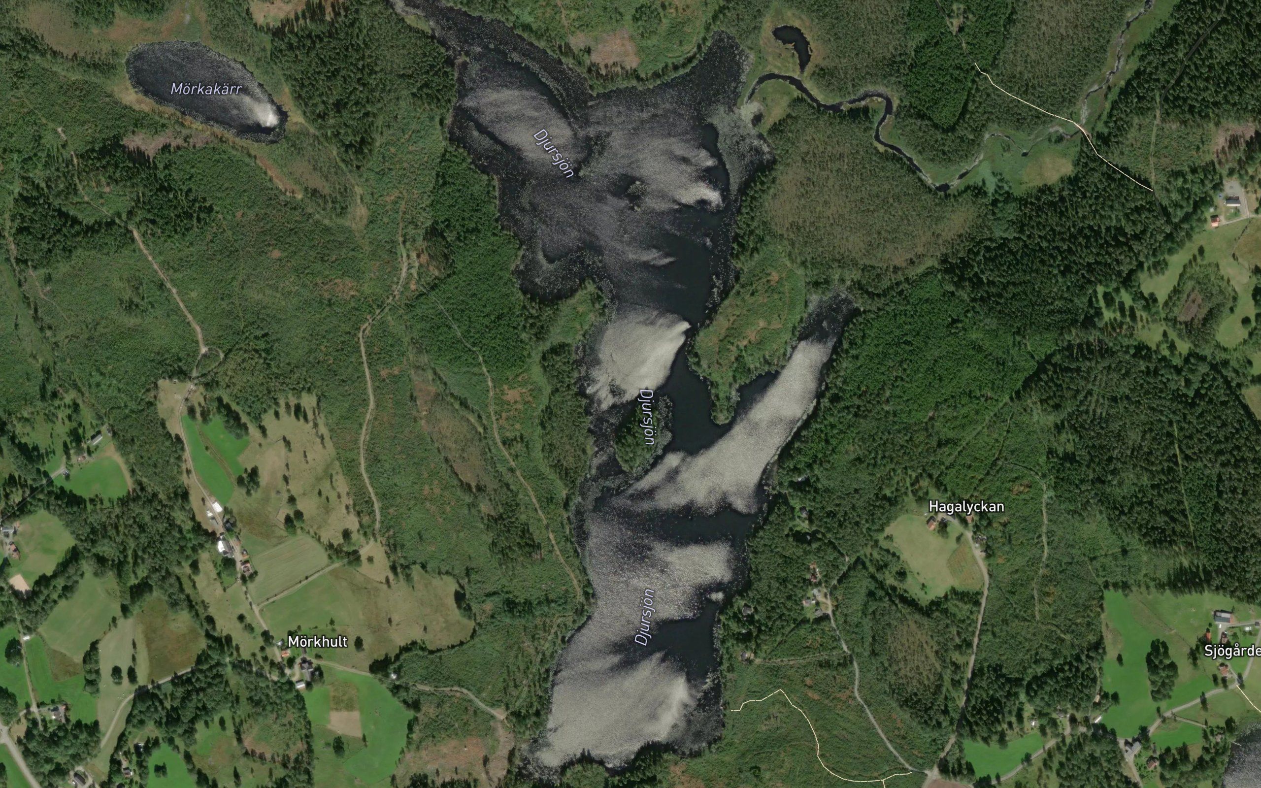 Djursjoen