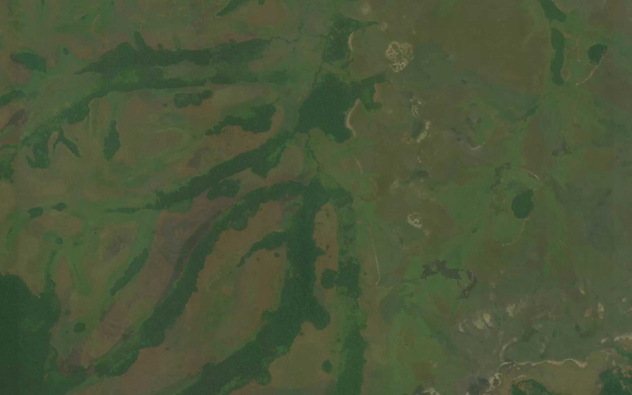 Djudju