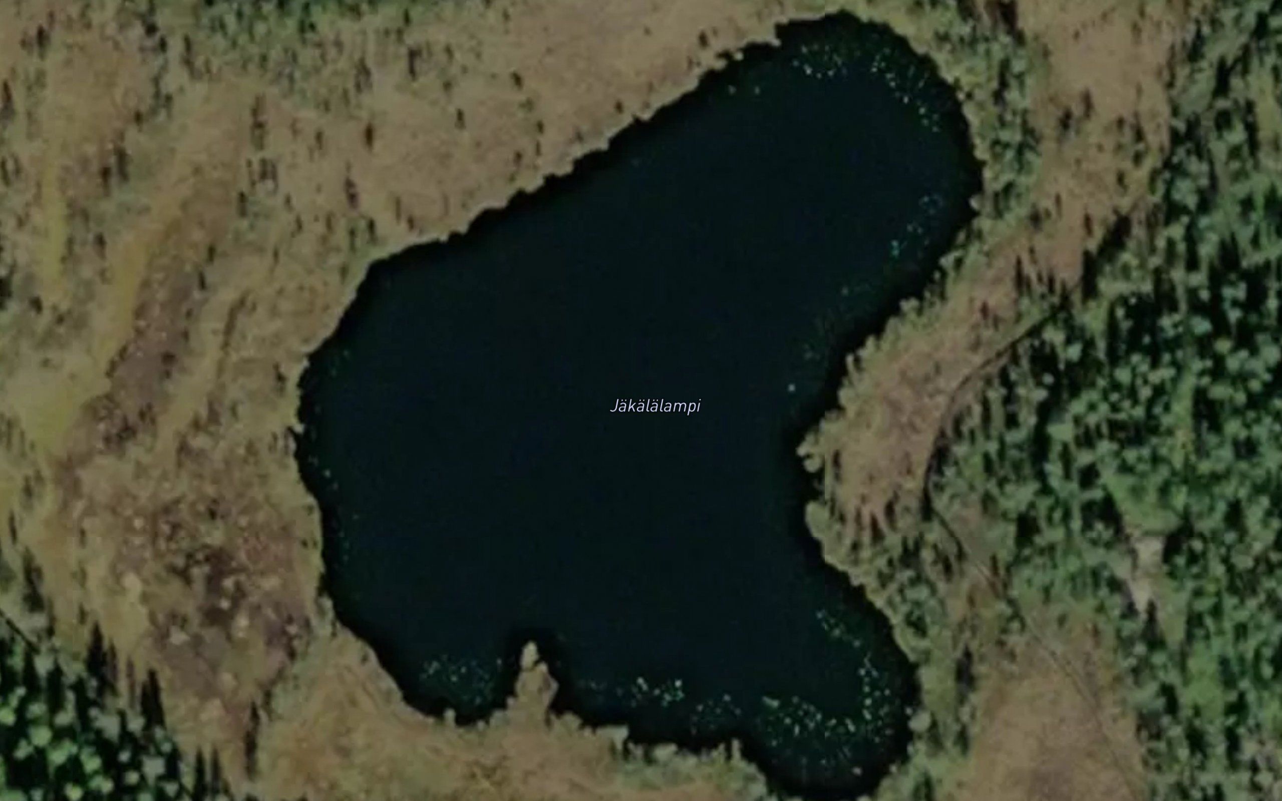 Jakalalampi