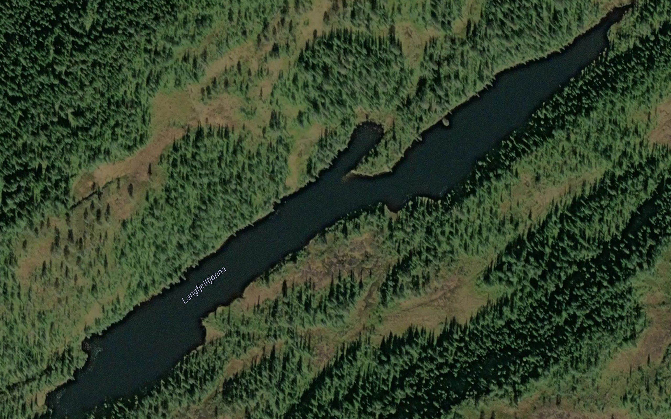 Langfjelltjorna