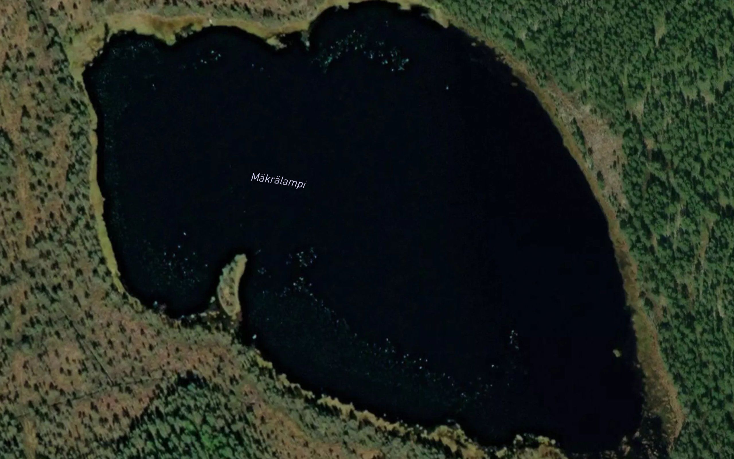 Makralampi