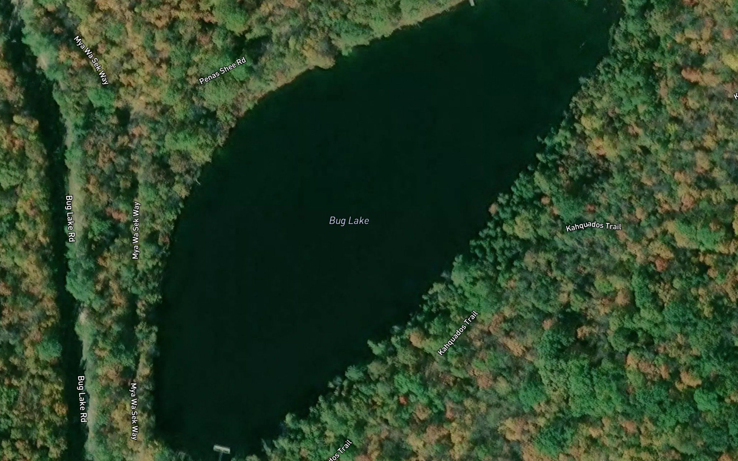 Bug Lake