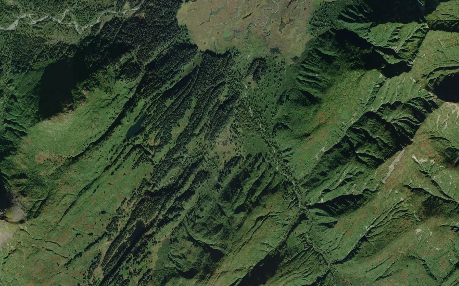 Satellite map of the Wrong Branch