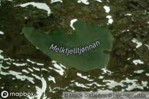 Melkfjelltjornan
