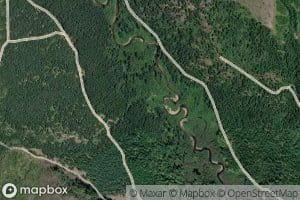 American Fork Big Sheep Creek