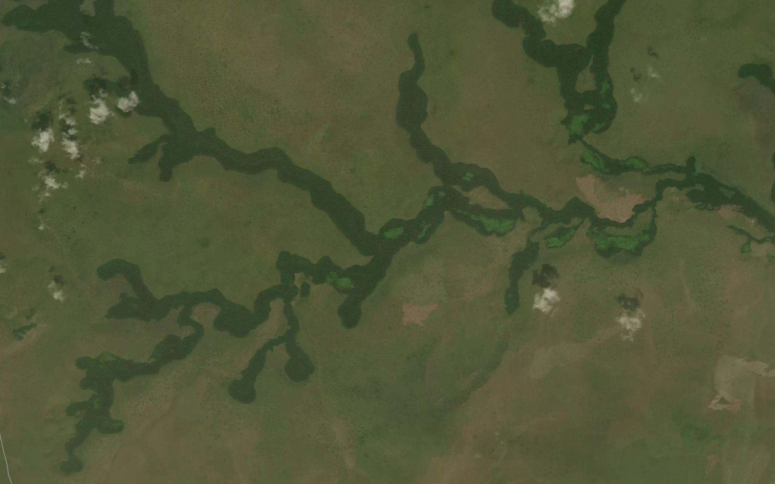 Otui